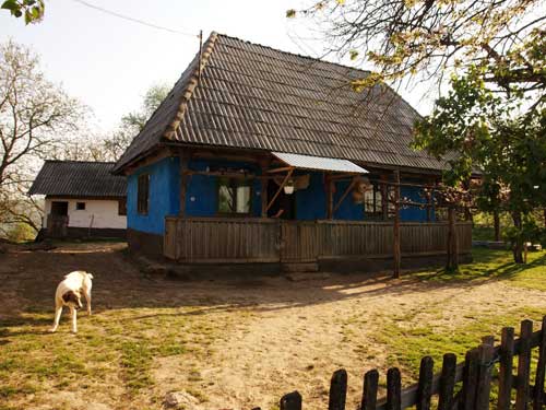 Foto Latrand a paguba (c) Petru Goja